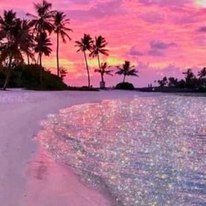 Meet your Posher, Felicity